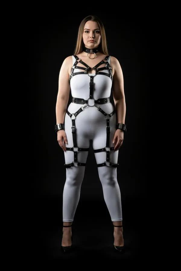 Full Body Harness with Leg Garters & Collar