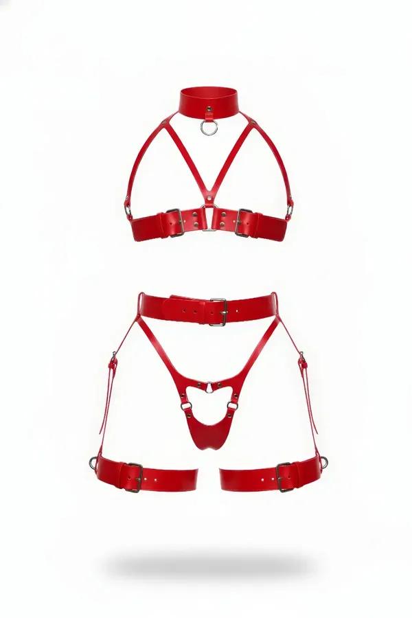 Red Faux Leather Harness Lingerie Set with Choker & Garter
