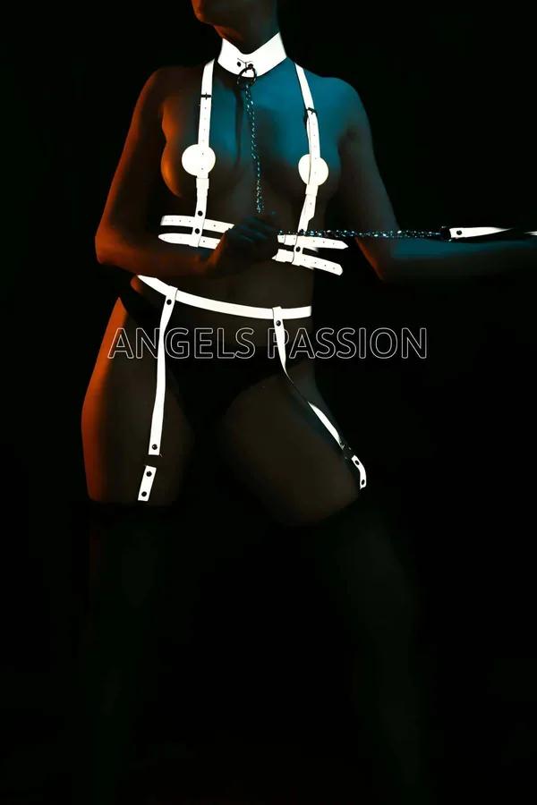 Reflective Full Body Harness with Detachable Chain Leash