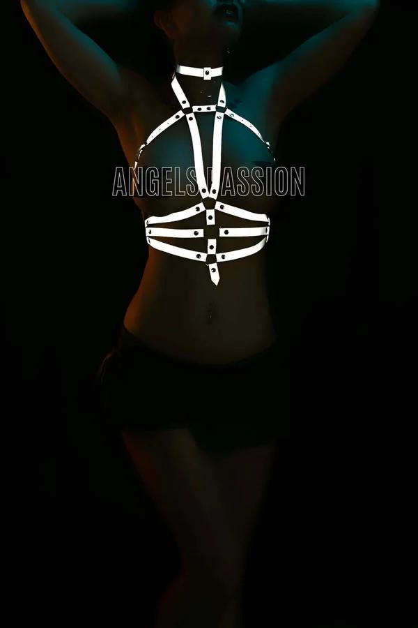 Reflective Full Body Harness with Matching Choker
