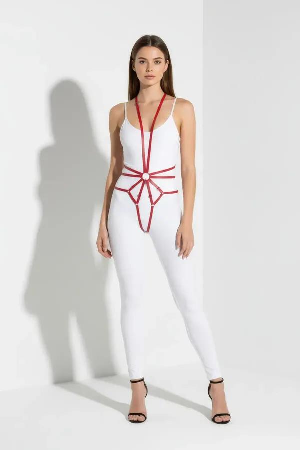 Full Body Harness with O-Ring Detail