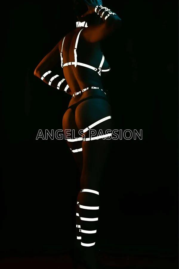 Reflective Full Body Harness with O-Ring