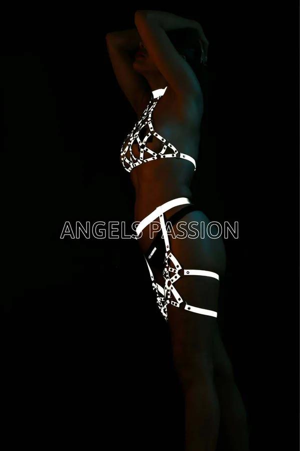 Reflective Caged Halter Harness with Leg Garters Set