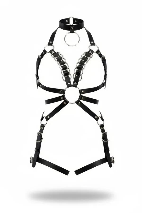 Full Body Harness with Halter Collar & O-Ring Chains