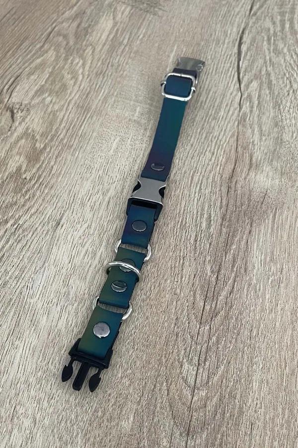 Gökkuşağı renk reflektörlü kedi boyun tasması holografik bant metal perçin ve D-halka donanım