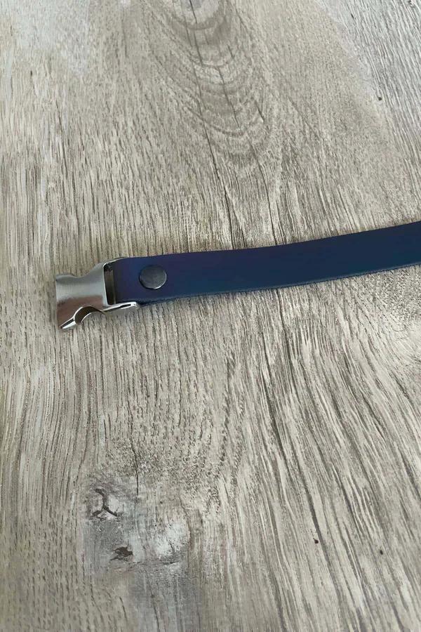 Reflektörlü kedi boyun tasması mavi PVC band gümüş çelik quick-release toka ve D-halka kaydırıcı