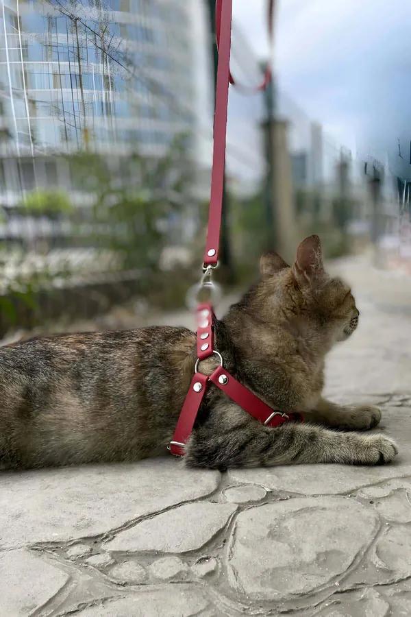 Red Faux Leather Cat Harness with O-Ring and Adjustable Straps