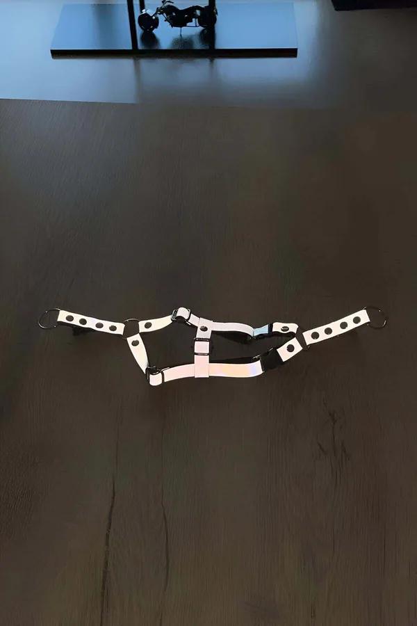 reflektörlü siyah kedi harness gümüş metal toka ve D-halka ile tekir kedide kullanım