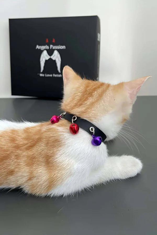 Siyah suni deri kedi tasması pembe turuncu mor 3 renkli metal zil gümüş toka detaylı