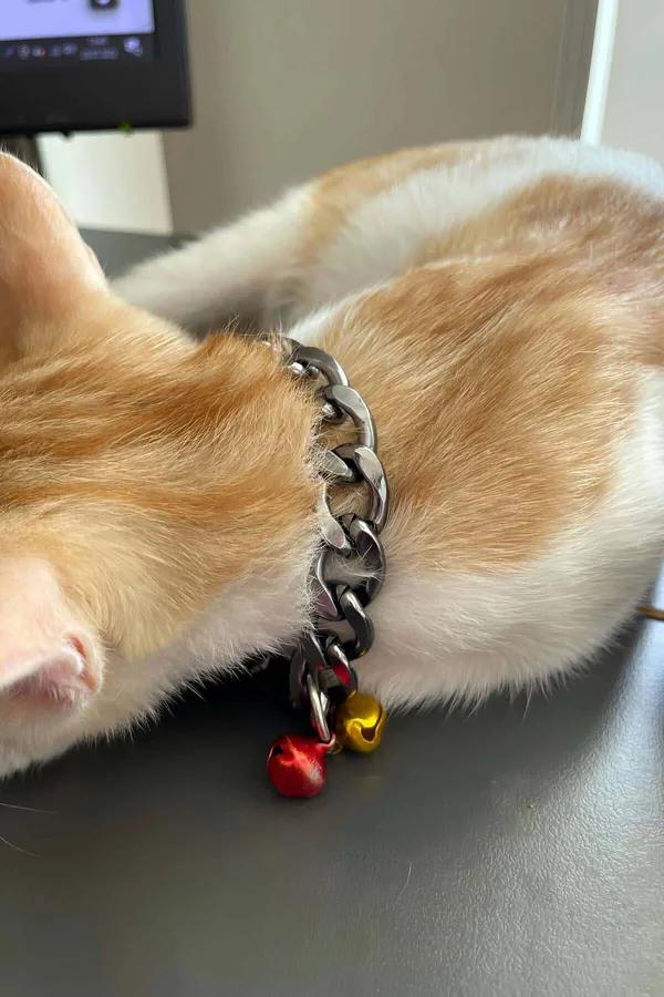 gümüş küba zincir kedi tasması sarı ve kırmızı renkli çift zilli alüminyum metal tasma turuncu kedi boyunda