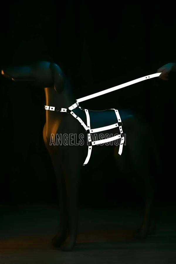 Reflective Body Harness with Adjustable Straps & Chain