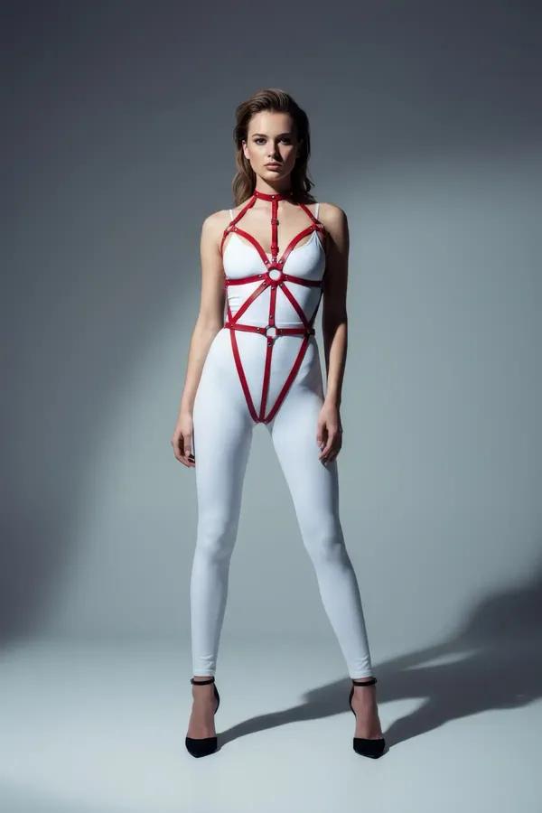 Full Body Harness with O-Ring Detail