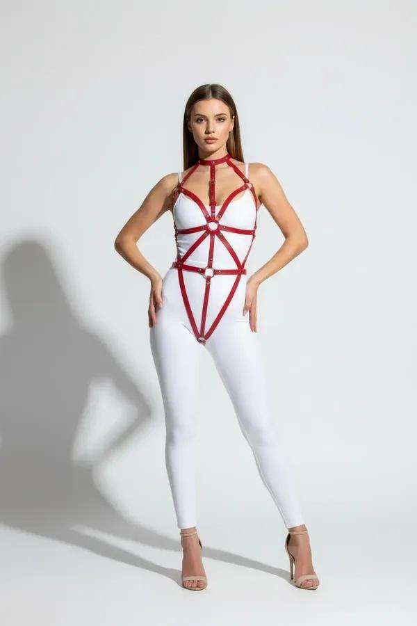 Full Body Harness with O-Ring Detail