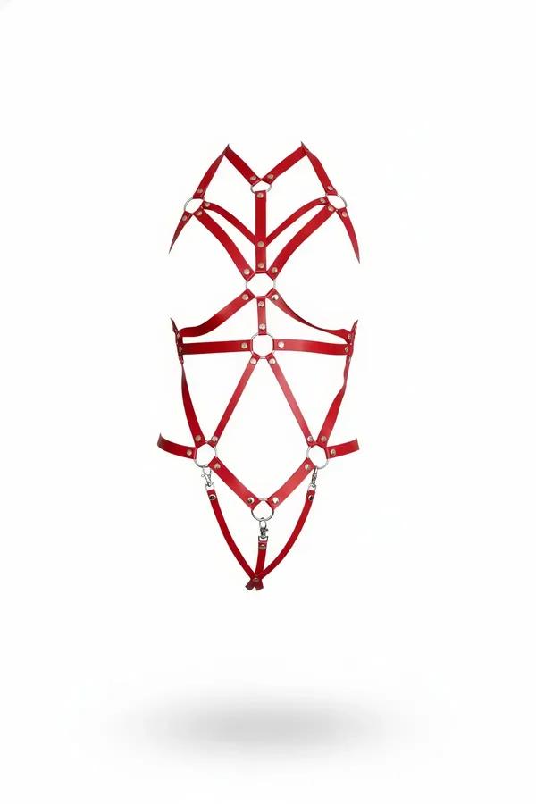 Strappy Full Body Harness with O-Ring Accents