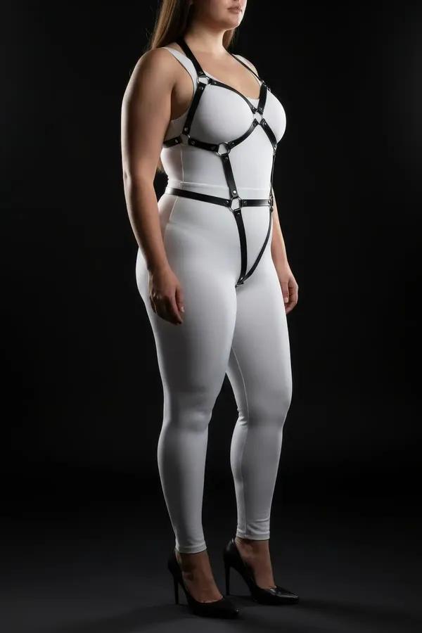 Full Body Harness with O-Ring Straps