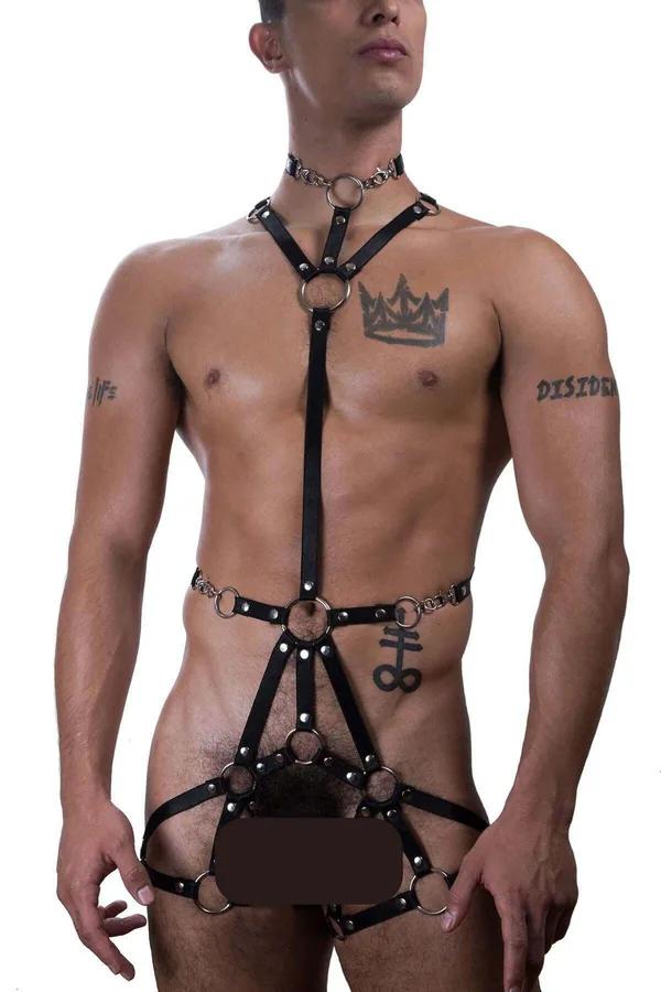 Full Body Harness with O-Ring Straps