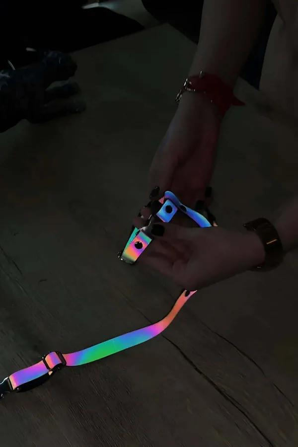 Rainbow Reflective Body Harness with Adjustable Chest Straps