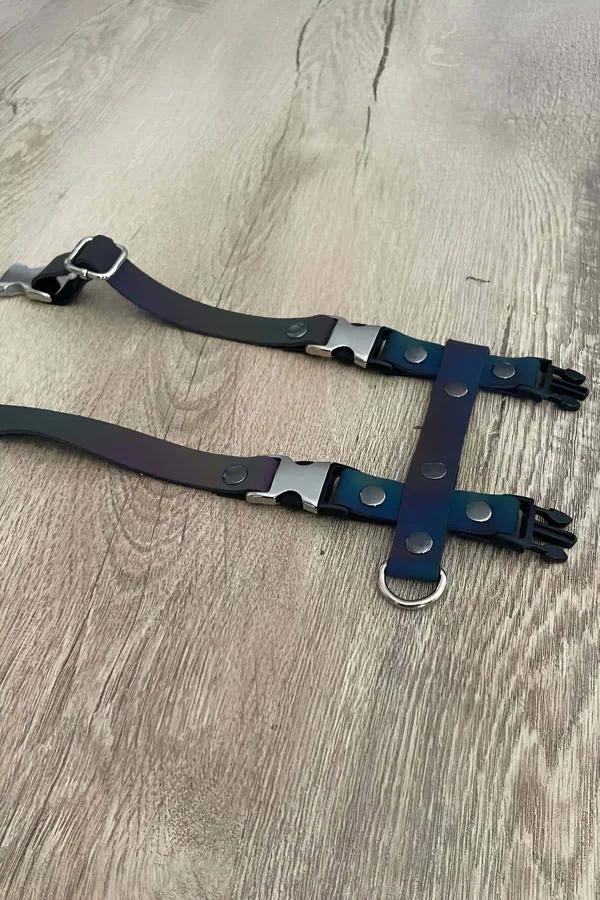 Rainbow Reflective Body Harness with Adjustable Chest Straps