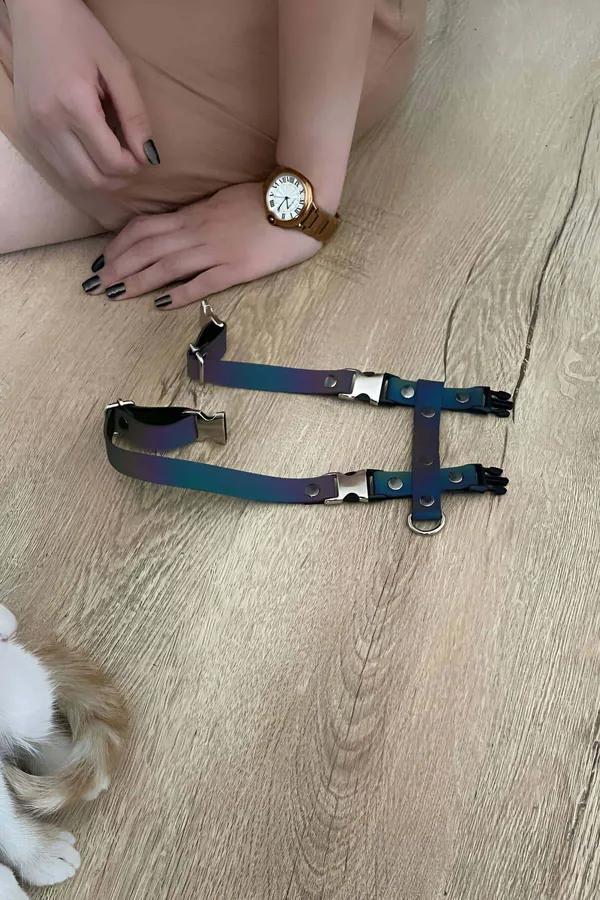 Rainbow Reflective Body Harness with Adjustable Chest Straps