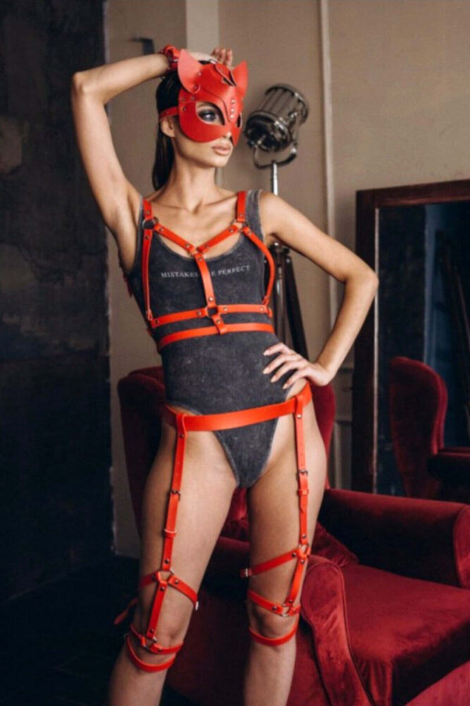 Fancy Leather Harness and Mask Set - 1