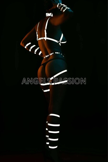 Glow in the Dark Reflective Full Body Harness Set - 3