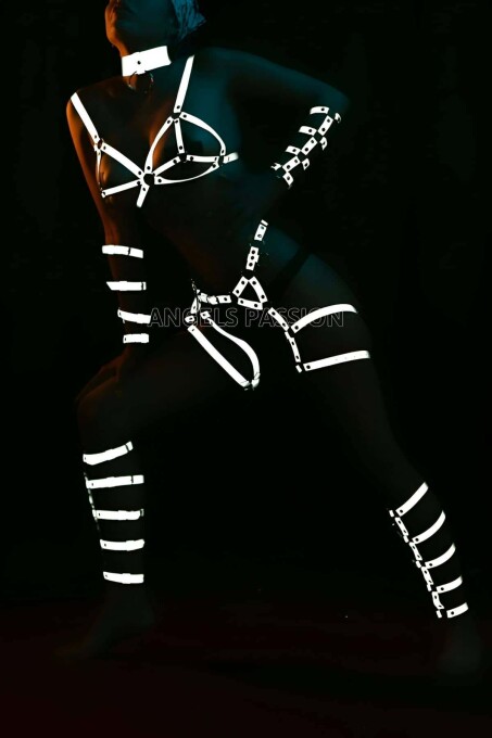 Glow in the Dark Reflective Full Body Harness Set - 4