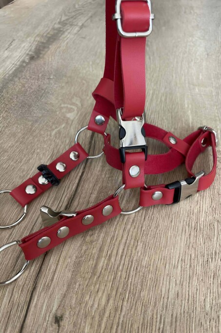 Leather Cat Harness and Collar for Daily Use - 3