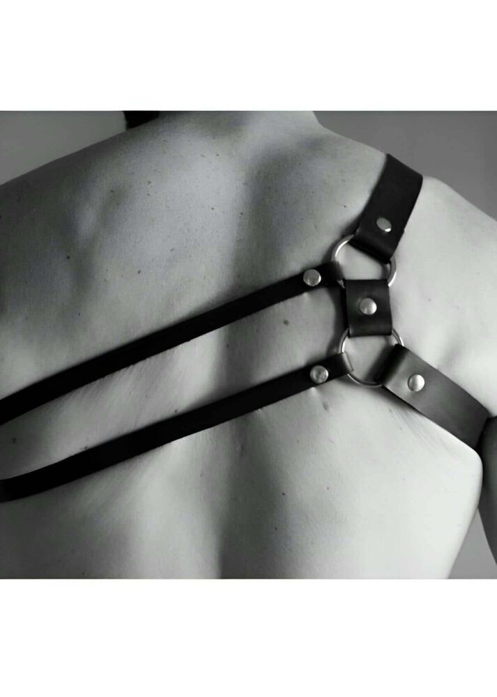 Men's Fancy Chest Covering Harness - 2