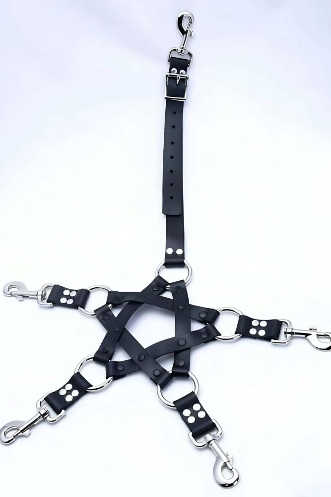 Men's Fancy Leather Harness Suit - 4