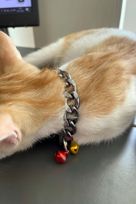 Rapper Style Leather Cat Collar with Chain and Bell - 3