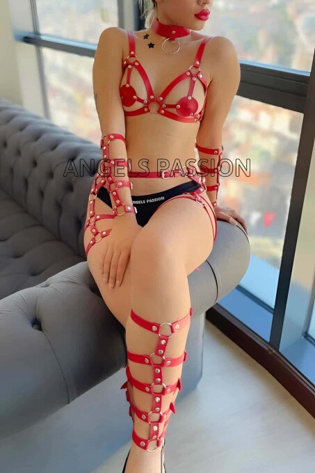 Red Leather Leg and Arm Harness Set - 1