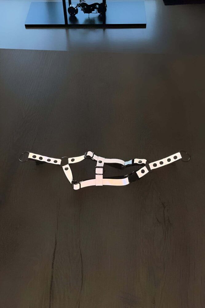 Reflective Cat Harness with Special Collar for Night Walks - 2