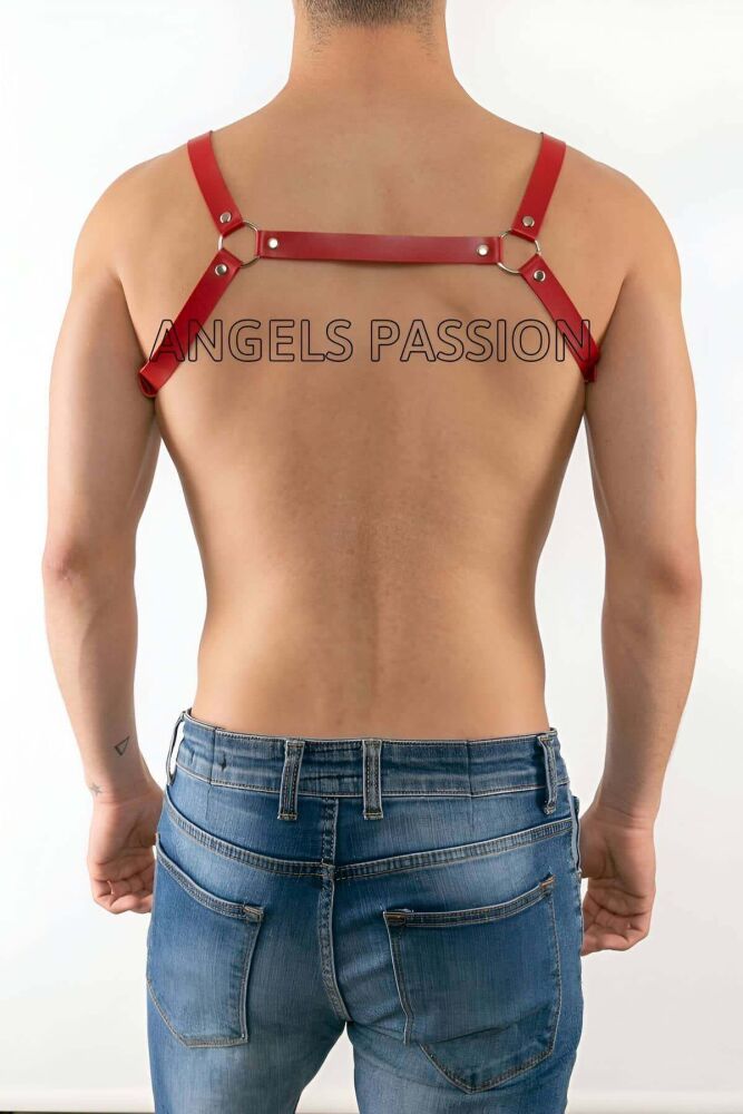 Sexy Leather Men's Harness and Fancy Wear - 3