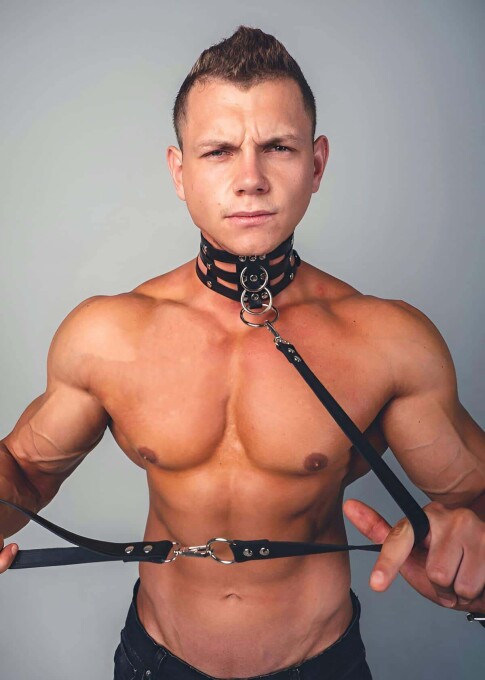 Sexy Men's Leather Collar and Harness Set - 1