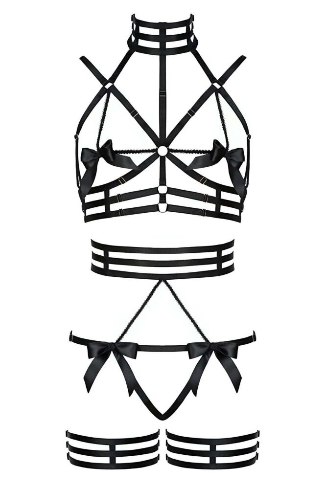 Special Design Sexy Harness Set - 2