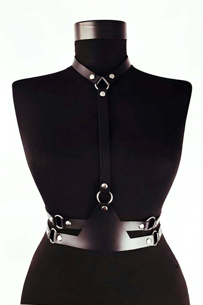 Custom Leather Harness Model - 1