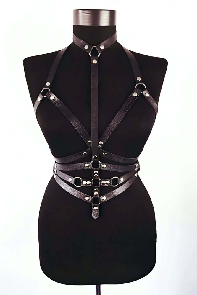 Custom Leather Harness Model - 5