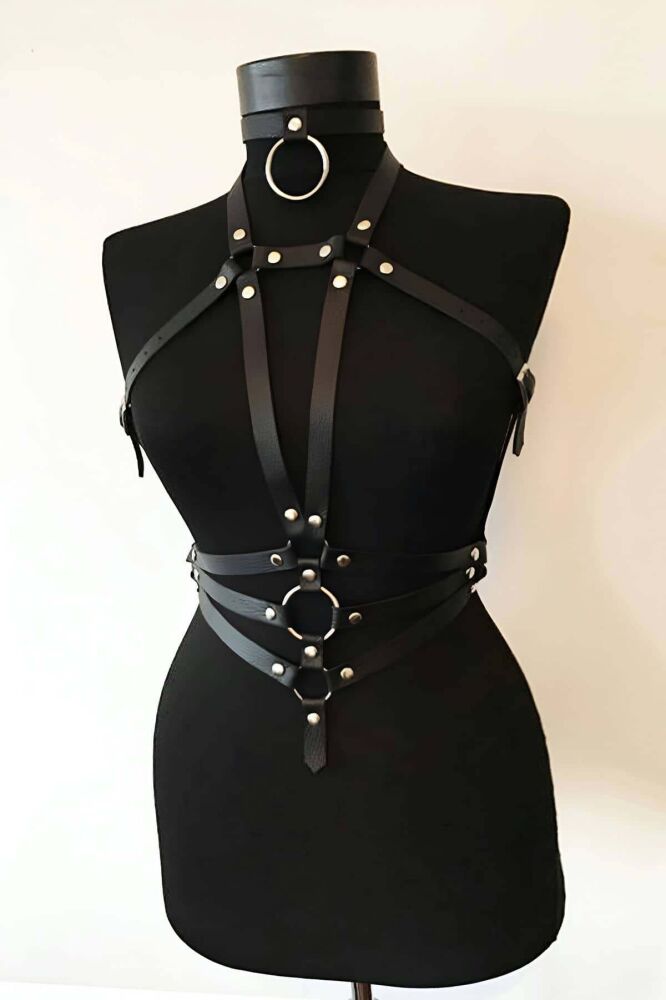 Custom Leather Harness Model - 4