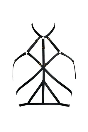 Sexy Black Harness Lingerie Set with Gold Details