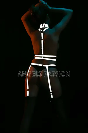 Reflective Full Body Harness with Leash, Collar & Garter Set