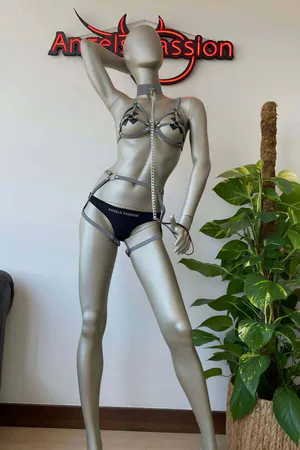 White Reflective Harness Set with Collar, Bra & Garters