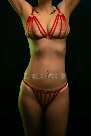 Rubber Harness Bra Panty Set - APFT555