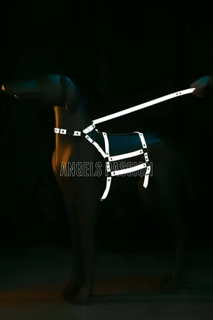 Reflective - Adjustable Dog Harness - Dog Walking Apparatus - NPD007
