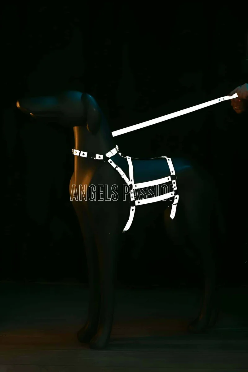 Reflective - Adjustable Dog Harness - Dog Walking Apparatus - NPD007