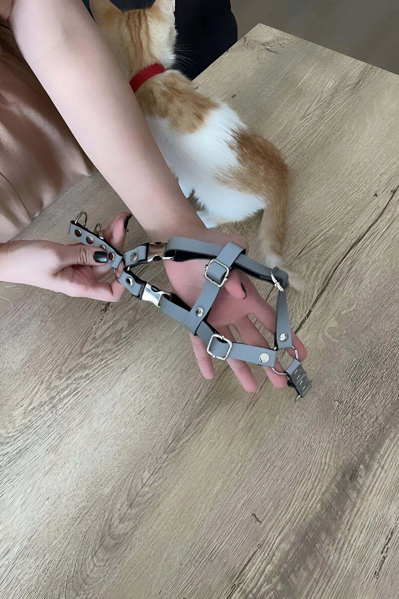 Ayarlanabilir Kedi Harness ve Tasma Seti Evcil Hayvan Konforu