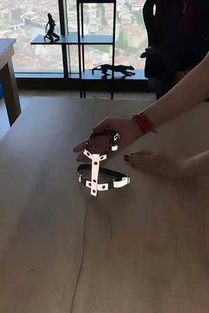 Cat Harness Reflective in the Dark Chest and Travel Set - NPC007