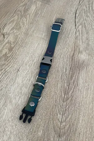 Cat Harness, Reflective Collar - NPC002