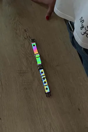 Cat Harness, Reflective Collar - NPC002