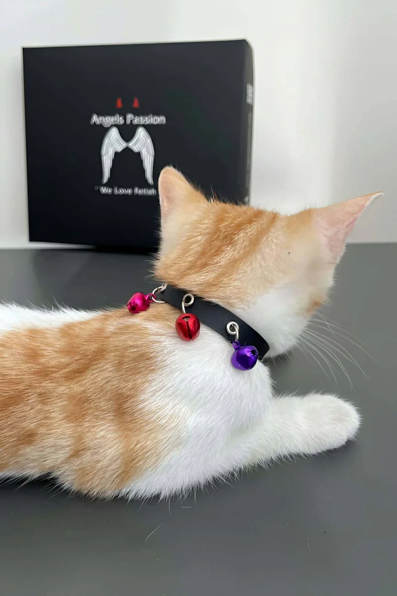 Cat Collar with 3 Bells, Leather Cat Collar - NPC009