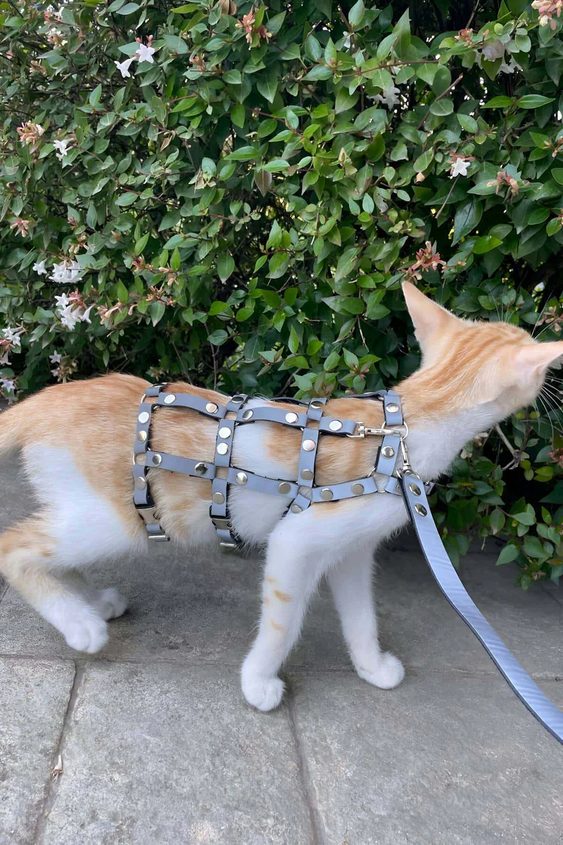 Gri Reflektörlü Kedi Harness Suni Deri Metal Zımbalı